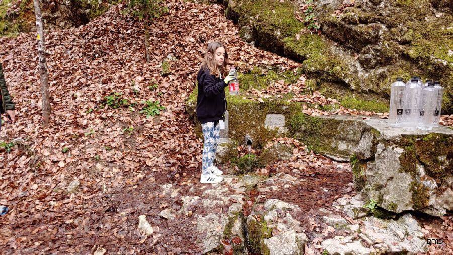 רומניה פסח 2019